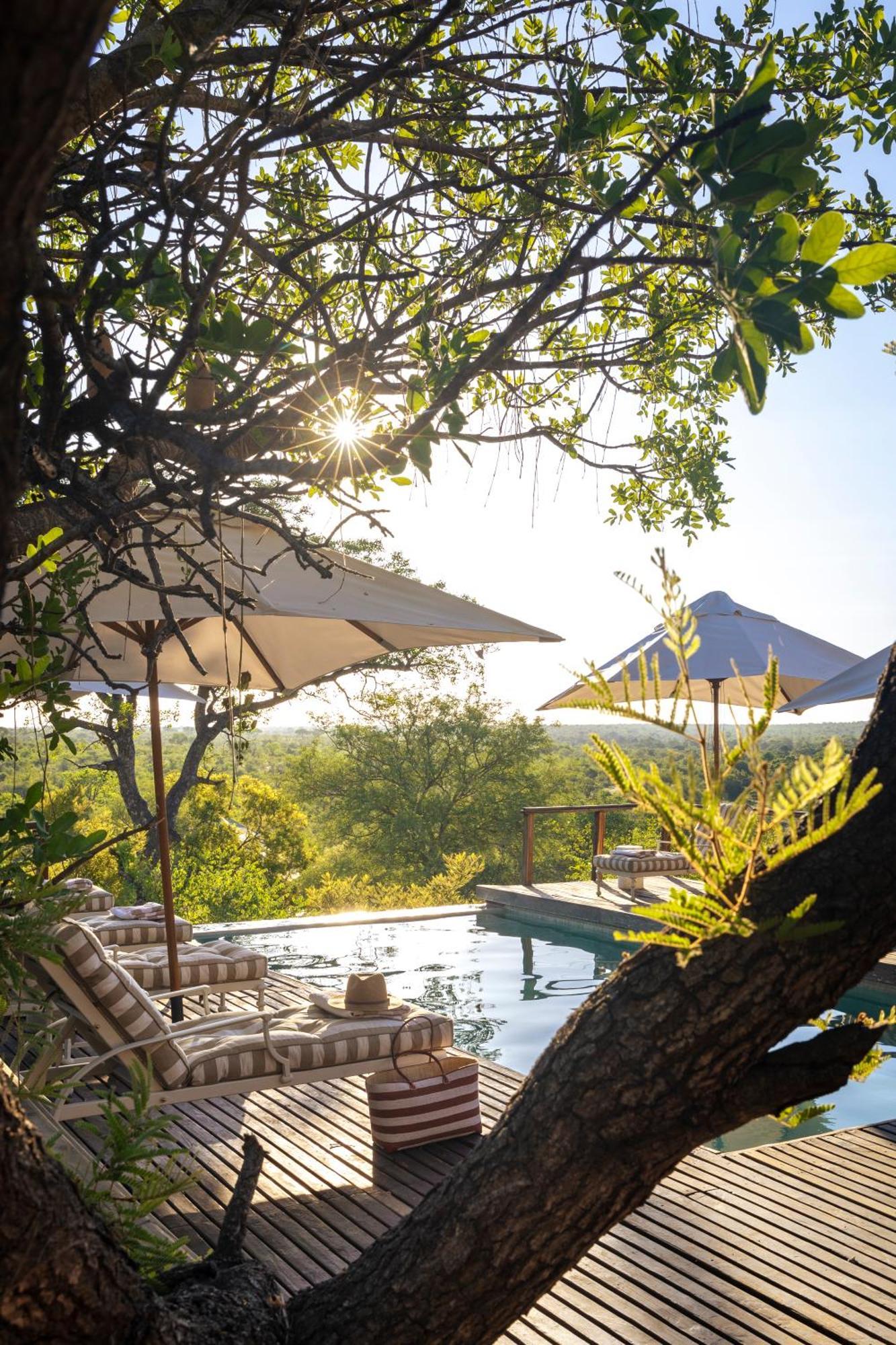 Simbavati Hilltop Lodge Заповедник Тимбавати Экстерьер фото