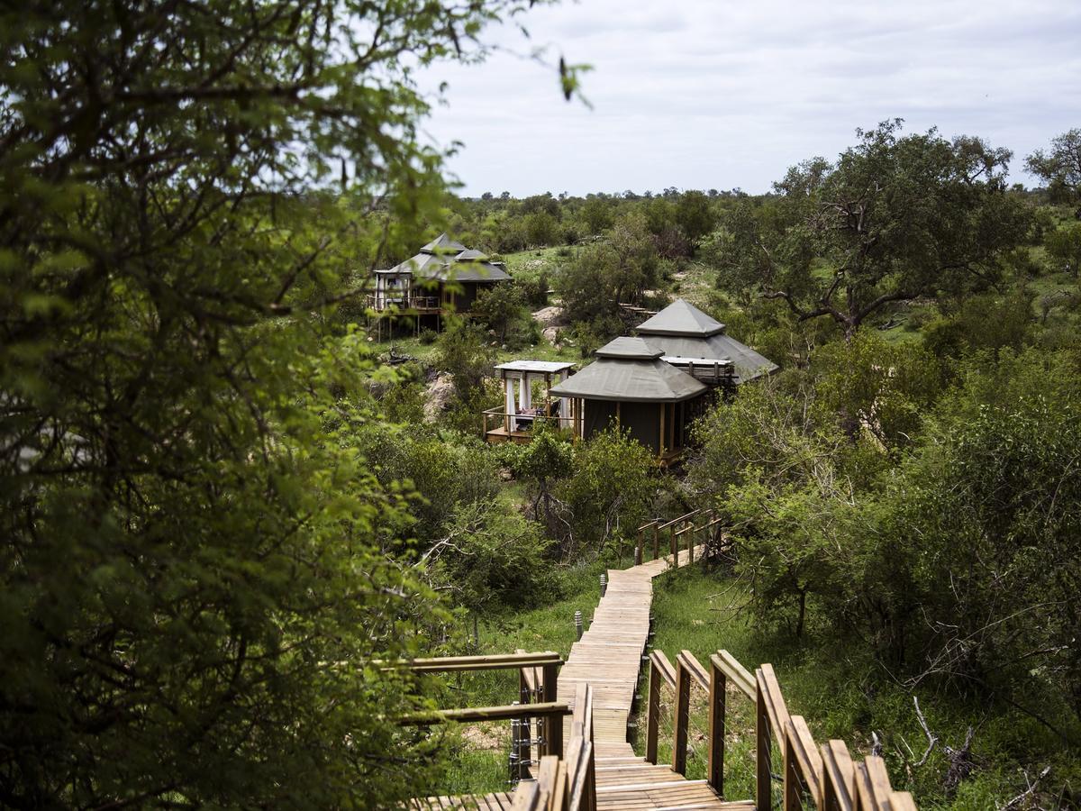 Simbavati Hilltop Lodge Заповедник Тимбавати Экстерьер фото